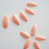 Takma Tırnak Seti, İnci Tozu Görünümlü, Korean Models - Pink Shine