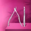 STALEKS EXPERT 100 Profesyonel tirnak eti pensi, 7 mm