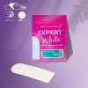 STALEKS EXPERT 10 Ayak törpüleri için yapışkan zımpara, 100 grit (30 adet)