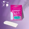 STALEKS EXPERT 10 Ayak törpüleri için yapışkan zımpara, 100 grit (30 adet)