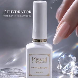 Dehydrator
